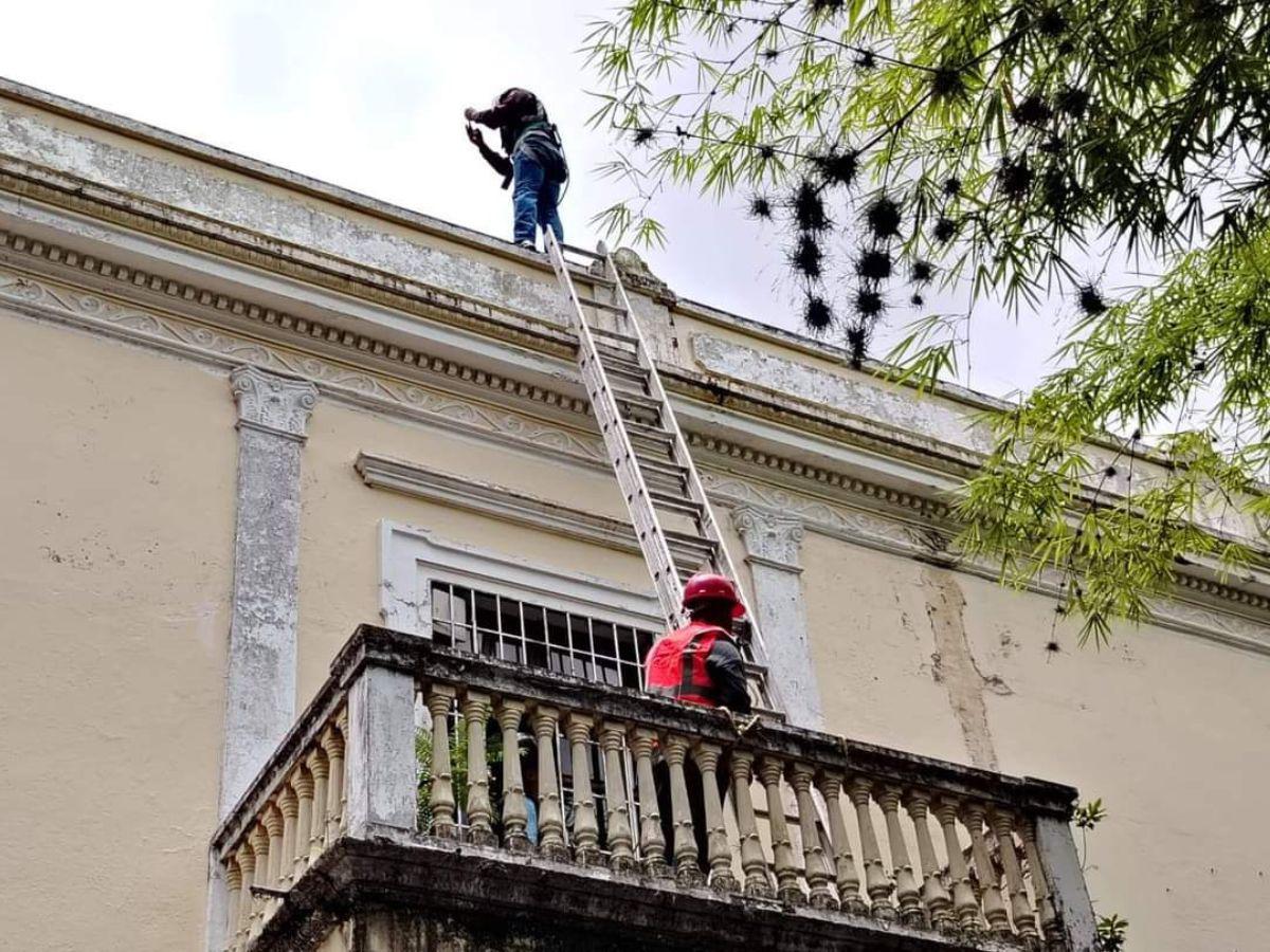 Inician trabajos de recuperación del emblemático Museo Villa Roy