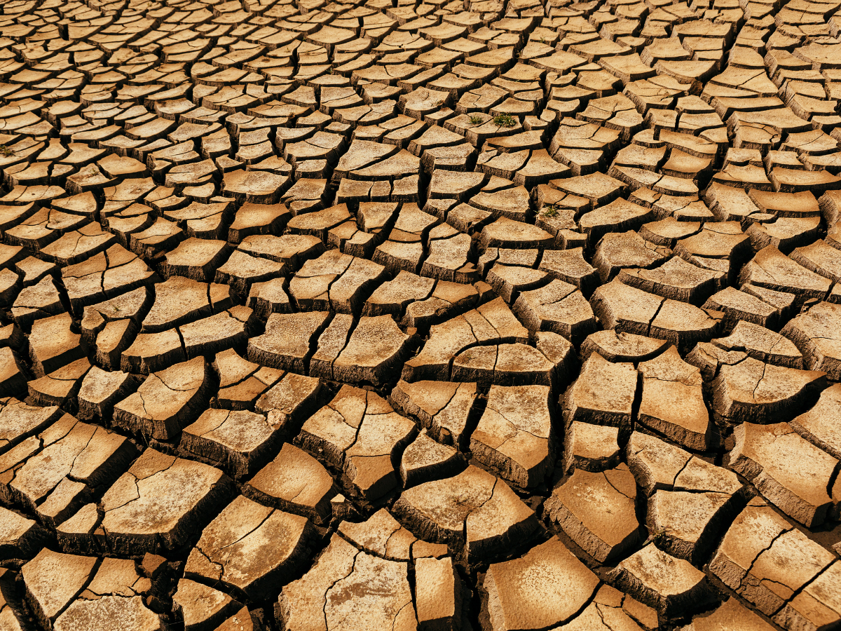 ONU insta a anticipar los efectos del fenómeno meteorológico de El Niño