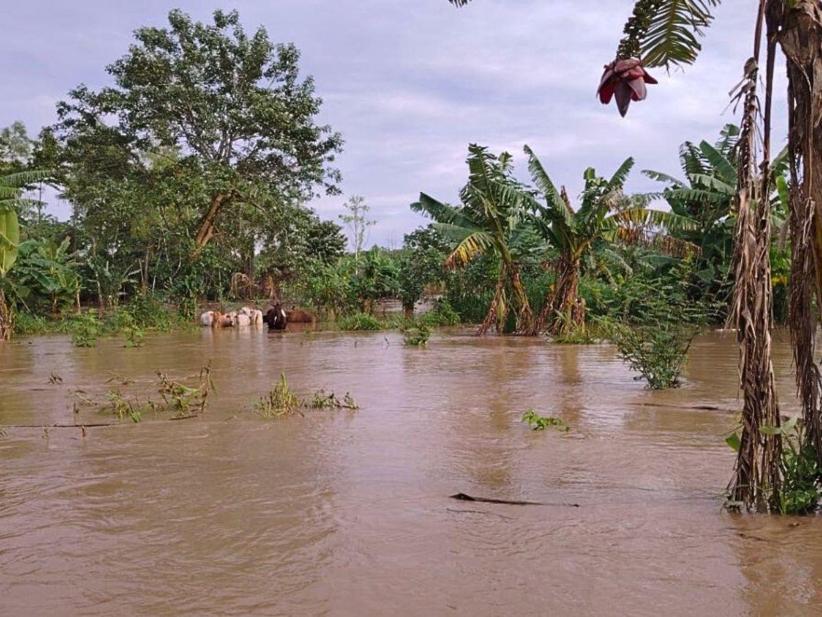 Luego de tres días de lluvia por Sara, Gracias a Dios afectado por inundaciones