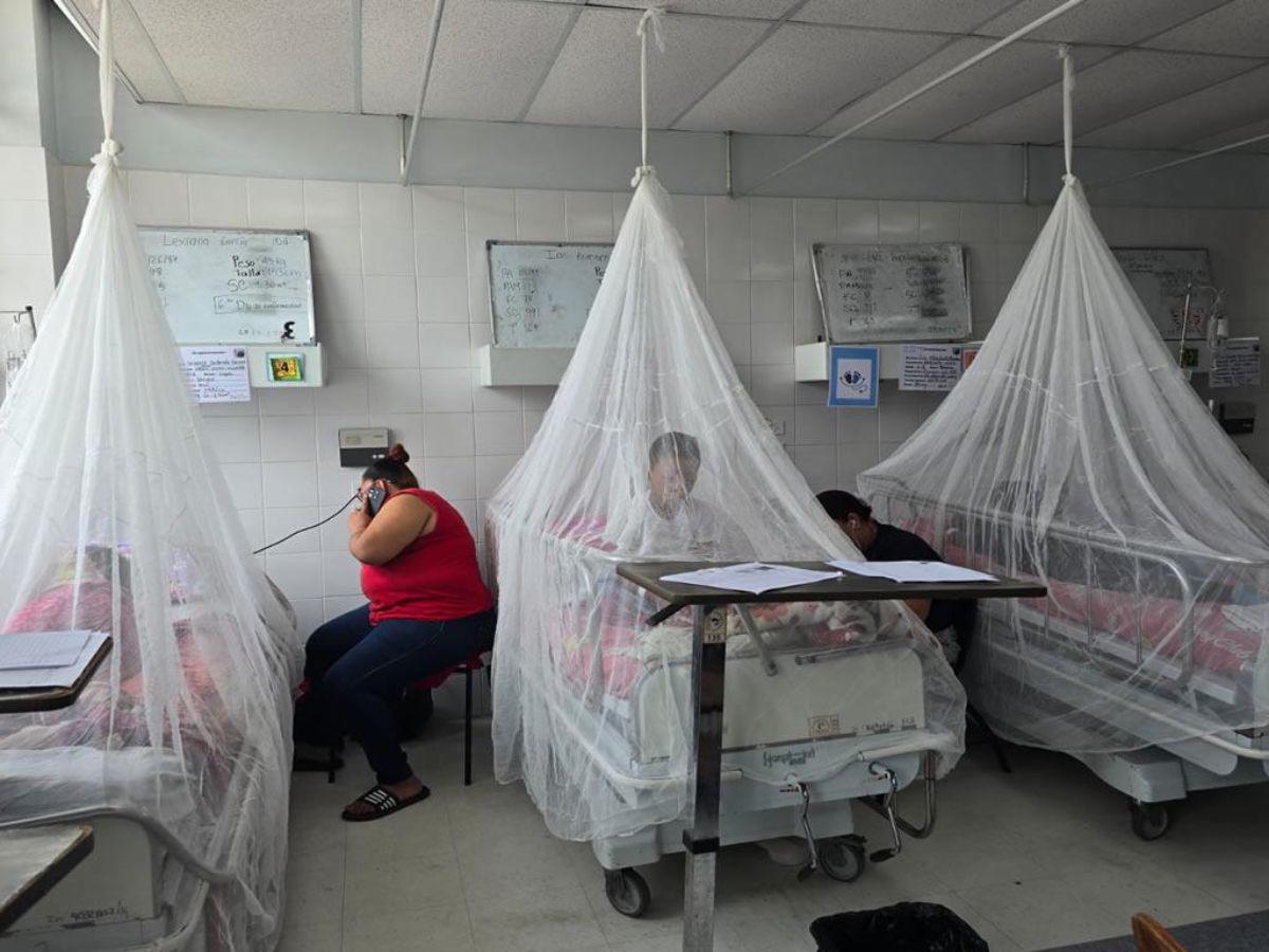 Casos graves de dengue del 2023 se triplicaron en seis meses del 2024