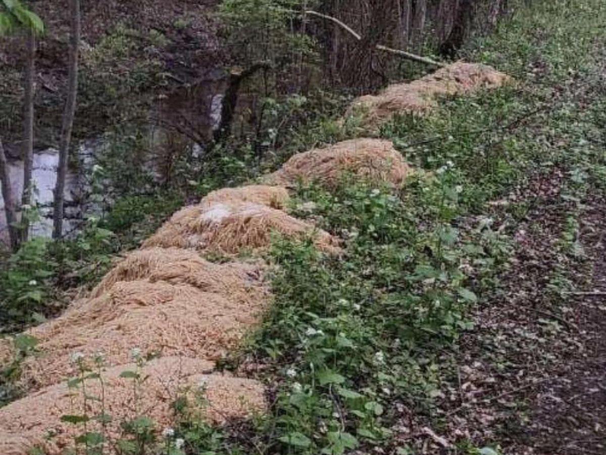 Montaña de espaguetis cerca de un río genera especulaciones en Nueva Jersey