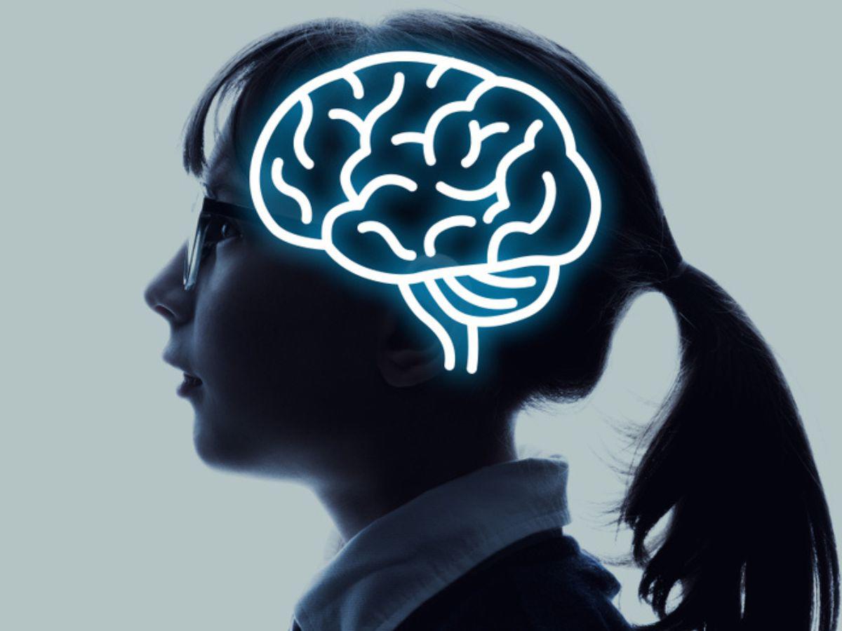 Neuroeducación: La clave para un aprendizaje más efectivo y personalizado