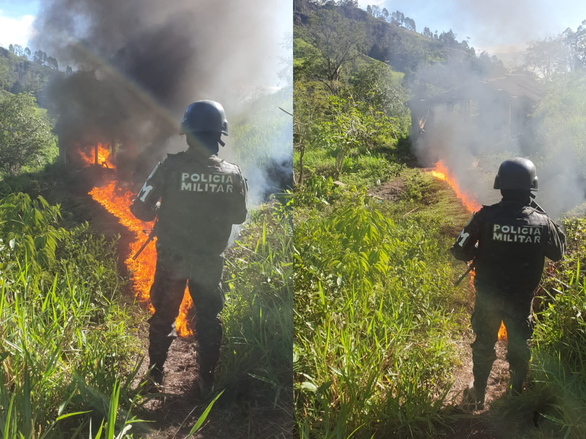 En imágenes se muestra la incineración de estupefacientes por la Policía Militar.