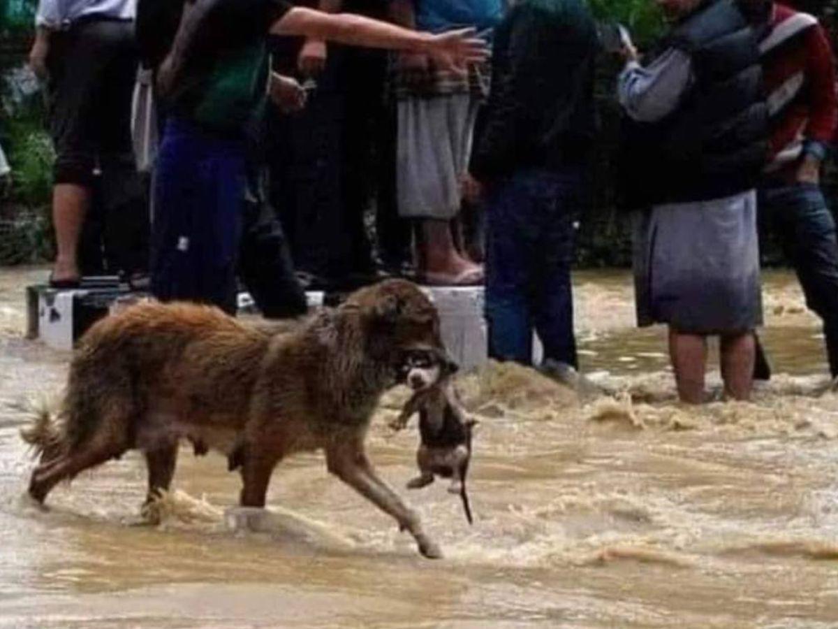 ¡Desastre! Así se encuentra el río Choluteca tras su desbordamiento en la capital