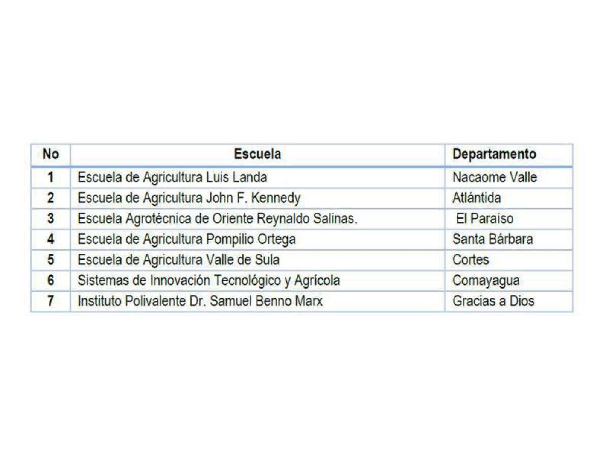 Agroferia 2024: USAID a través de Agronegocios Sostenibles impulsa el futuro agrícola de Honduras