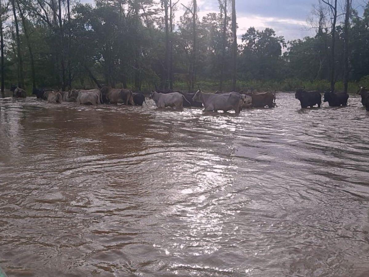 Luego de tres días de lluvia por Sara, Gracias a Dios afectado por inundaciones