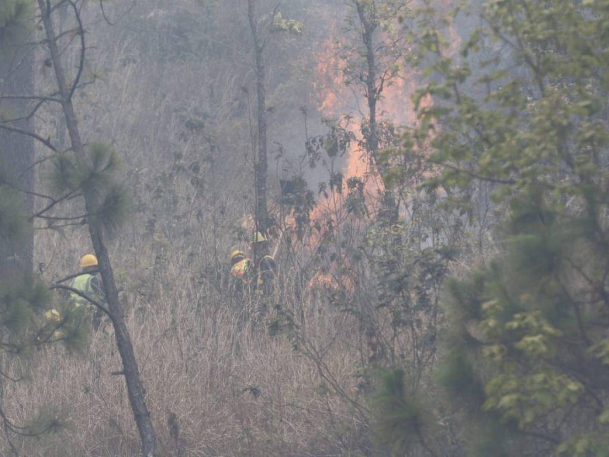 Voraz incendio consume varias hectáreas de bosque en el cerro de Uyuca, carretera a Zamorano