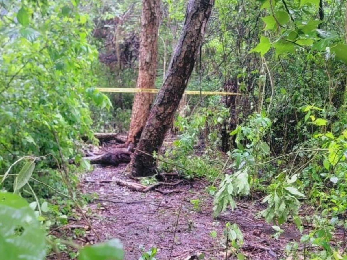 Cerca de estos dos árboles se encontraron los cuerpos de la pareja tapados con maleza.
