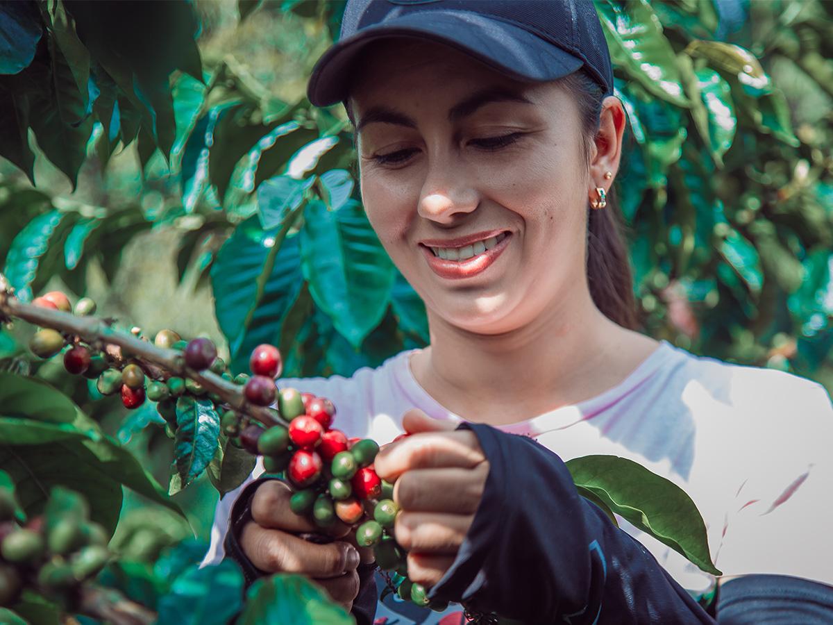 <i>Participantes jóvenes compartirán sus experiencias y visiones innovadoras para el futuro de la caficultura en el foro de Siguatepeque.</i>