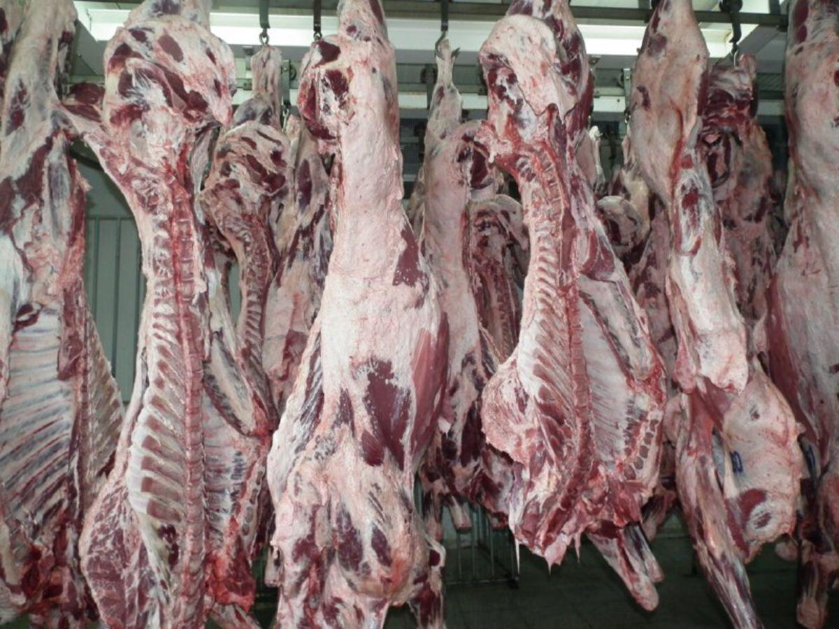 Falta de respeto o hasta pecado ¿Por qué no se debe comer carne en Semana Santa?