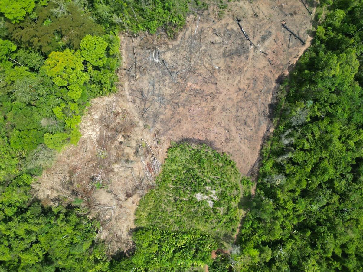 <i>Este plan busca proteger las selvas de Olancho y la Mosquitia (en gráfica), donde se ubican las principales reservas de bosques de Honduras. </i>