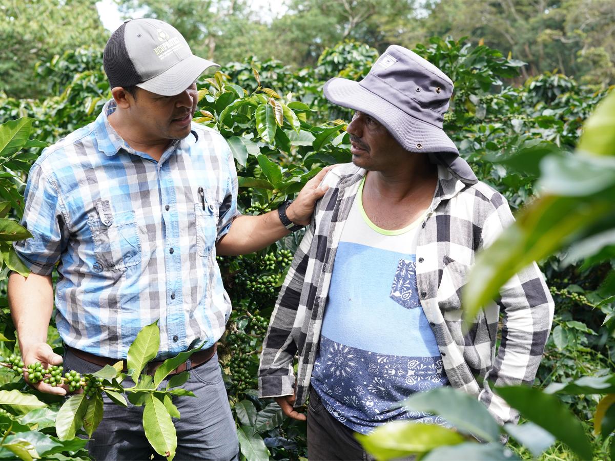 <i>USAID a través de los años ha trabajado en diferentes programas. </i>