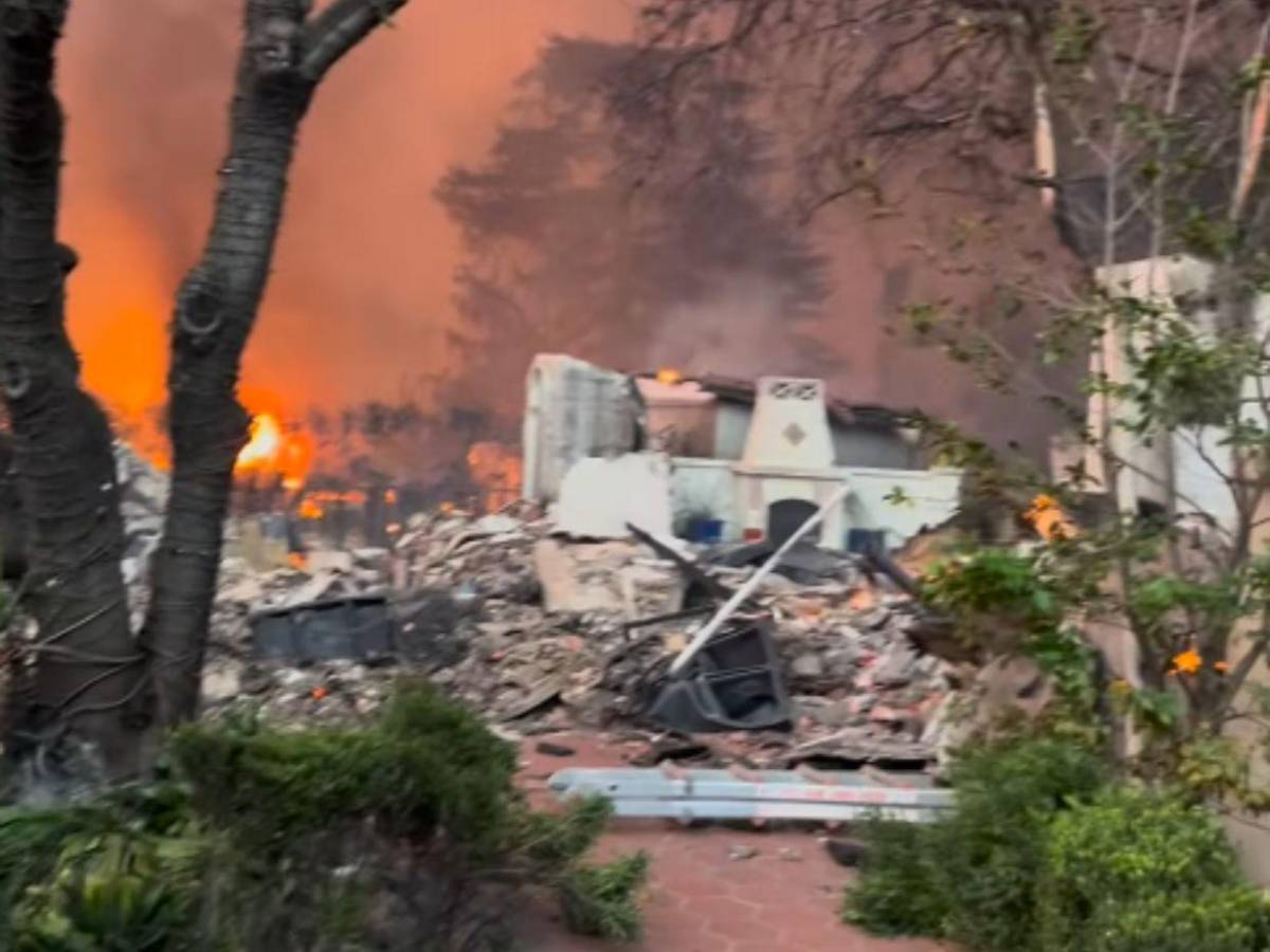 Estos famosos perdieron sus casas tras devastadores incendios en Estados Unidos