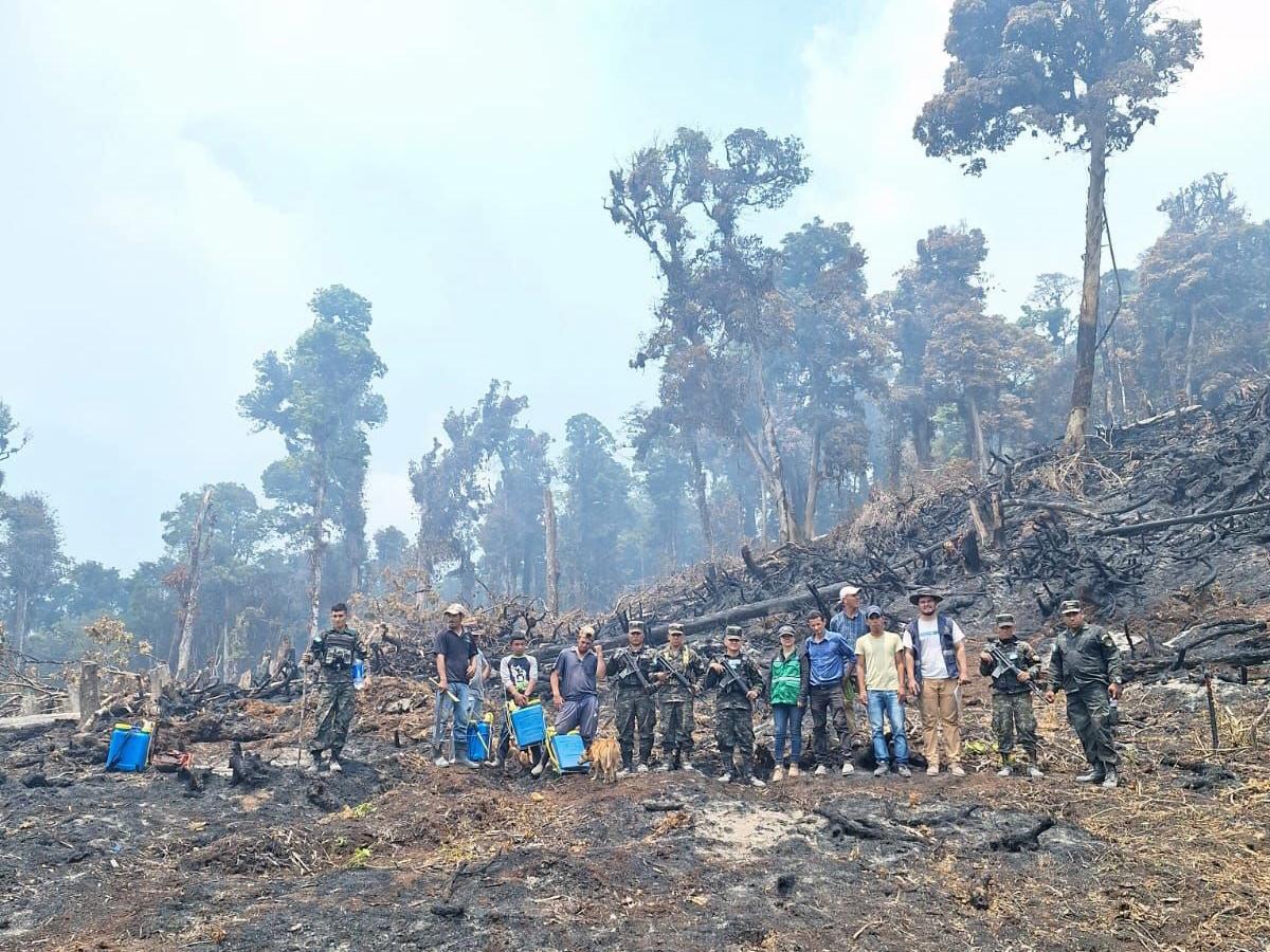 Gobierno intensifica la lucha contra la deforestación en Honduras
