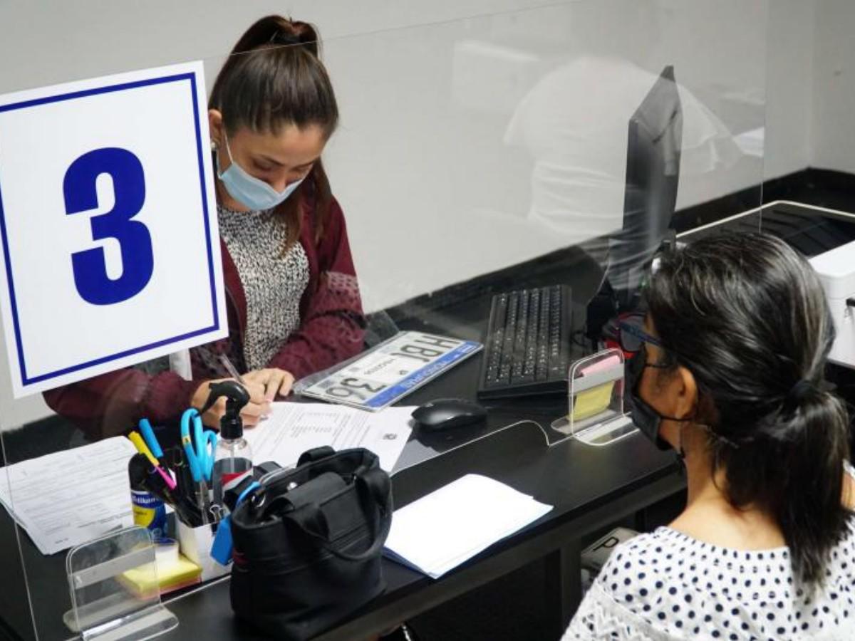 ¿Cómo reponer la placa del vehículo por robo o extravío?