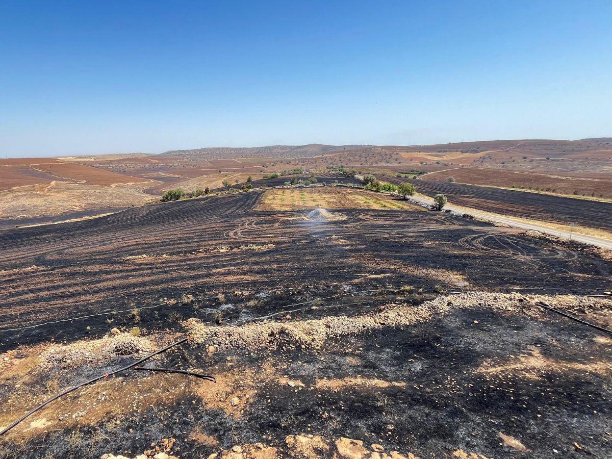 Incendio forestal en Turquía deja al menos 12 muertos y decenas de heridos