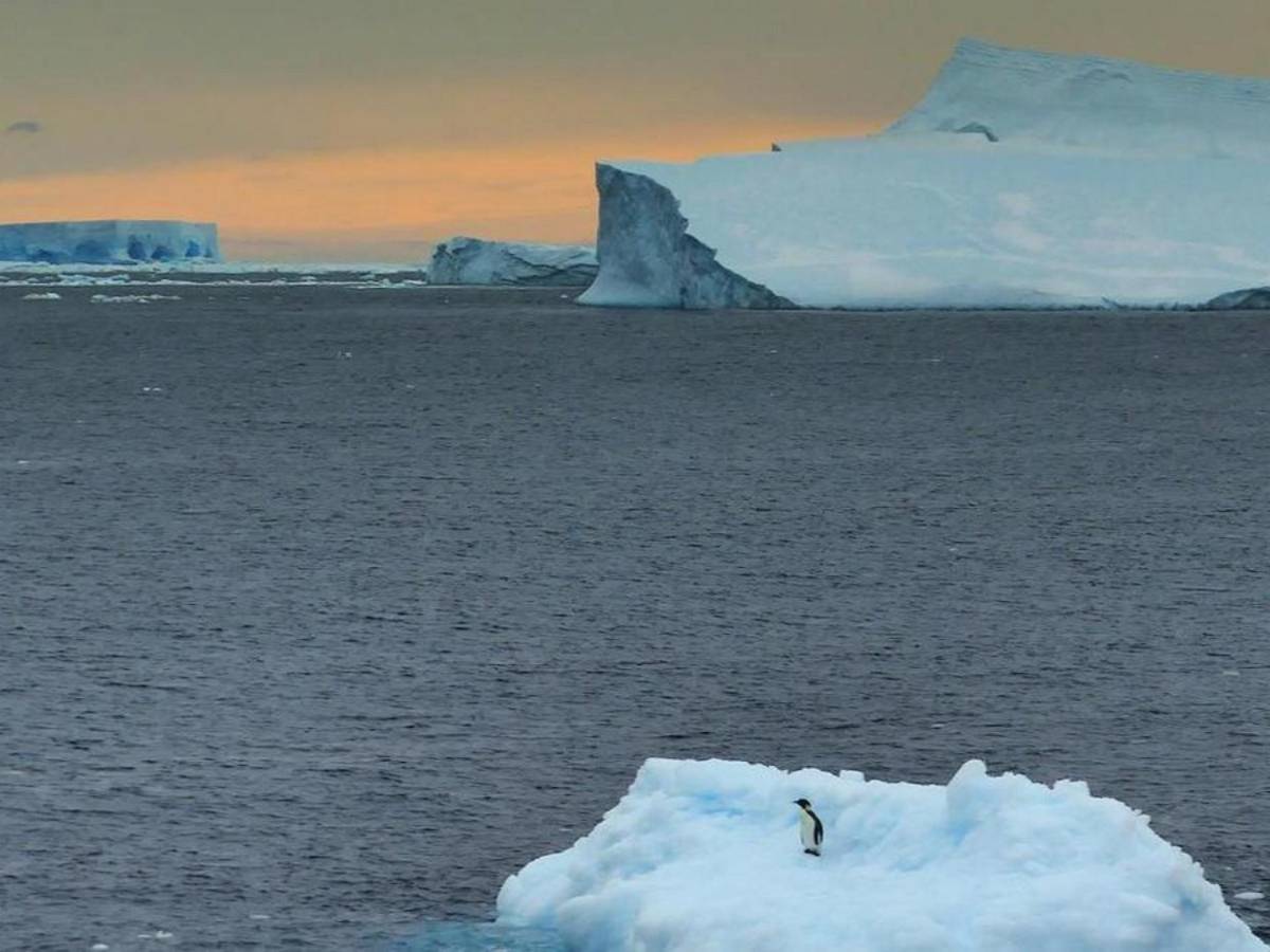 El Polo Norte a punto de quedarse sin hielo: en dos años podría derretirse  por completo