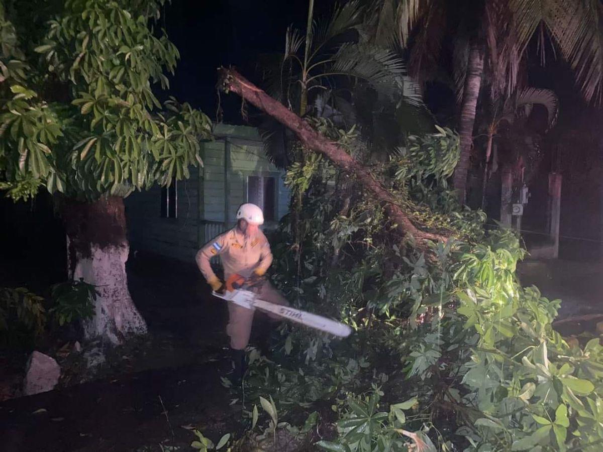 Postes caídos, calles cerradas  y casas dañadas dejan vientos huracanados en Puerto Cortés