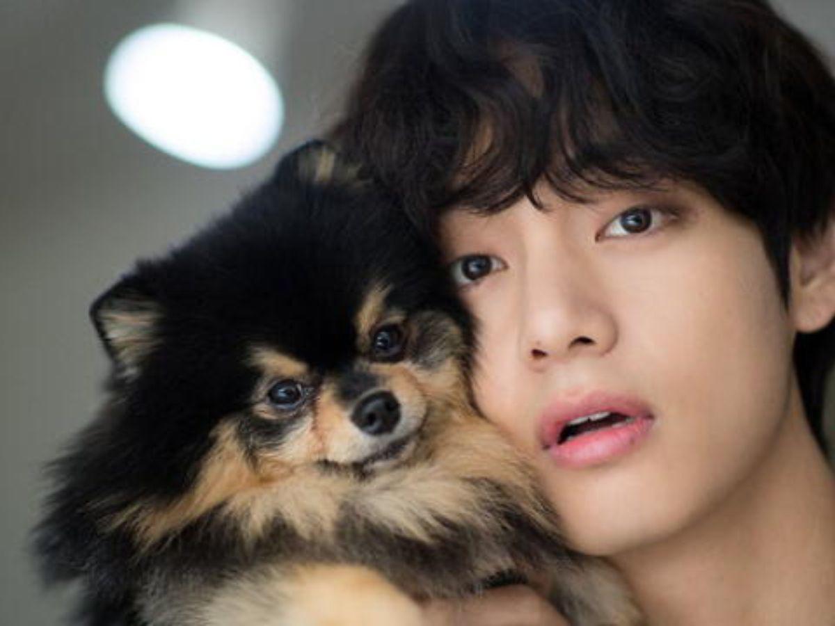 V de BTS se despide de su amigo fiel, Yeontan: “Se embarcó en un viaje hacia las estrellas”