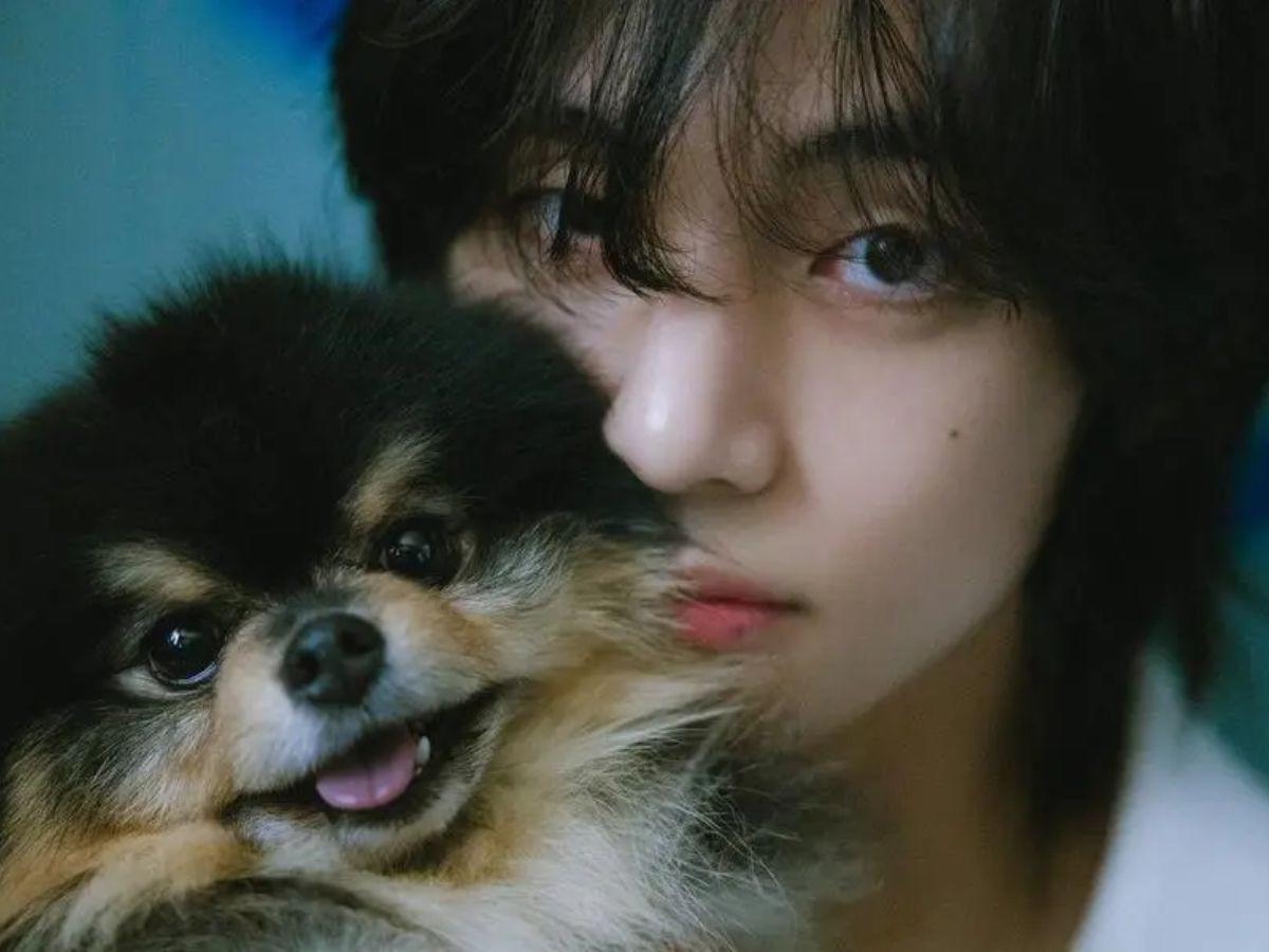 V de BTS se despide de su amigo fiel, Yeontan: “Se embarcó en un viaje hacia las estrellas”