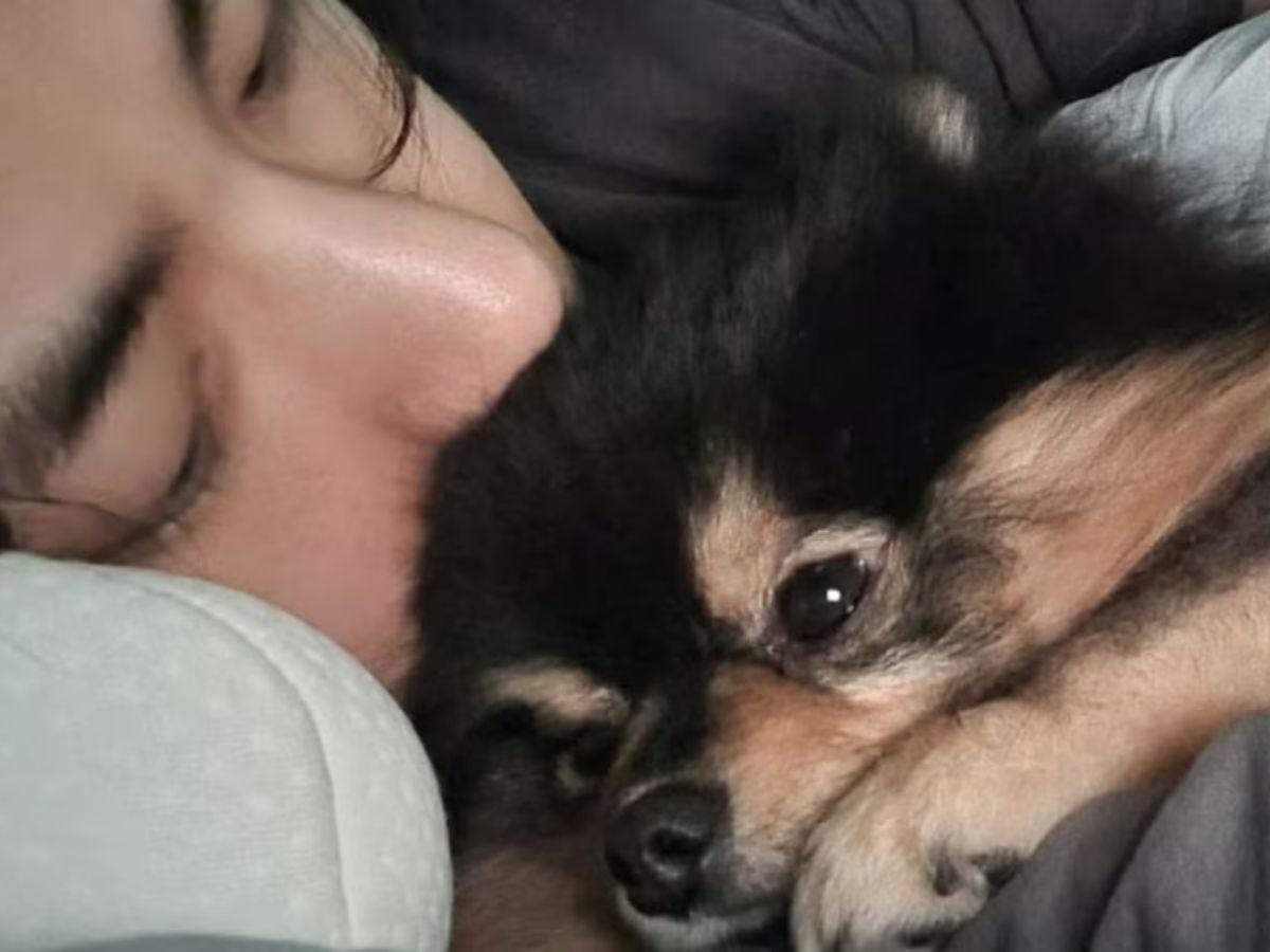 V de BTS se despide de su amigo fiel, Yeontan: “Se embarcó en un viaje hacia las estrellas”