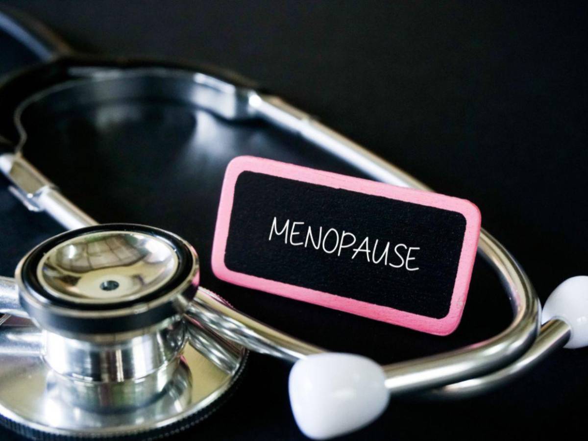 Nutrición en la menopausia: Guía completa para una vida saludable