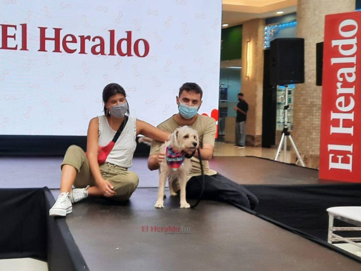 Todo un éxito el Petville organizado por EL HERALDO para los “peluditos” del hogar