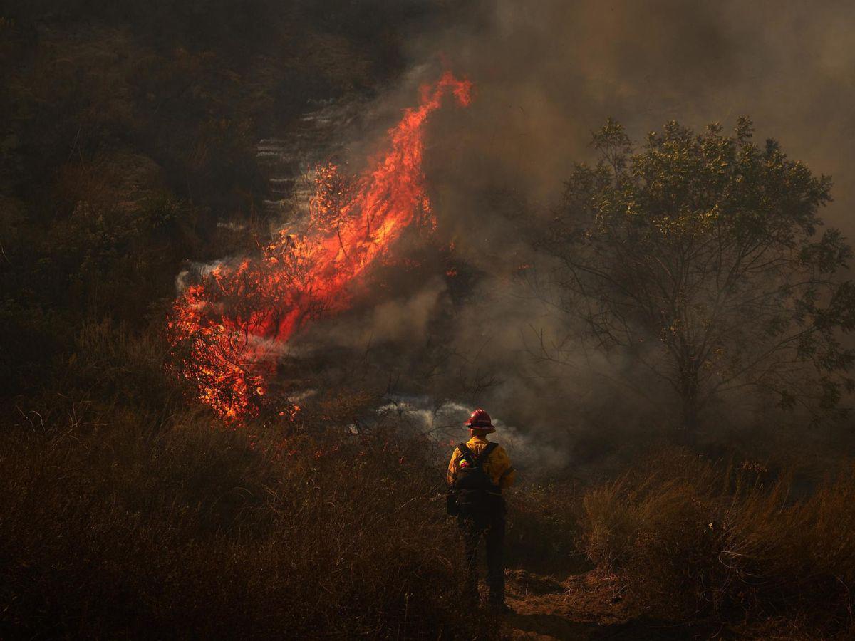 Descontrolado incendio en el noroeste de Los Ángeles consume 10,000 acres