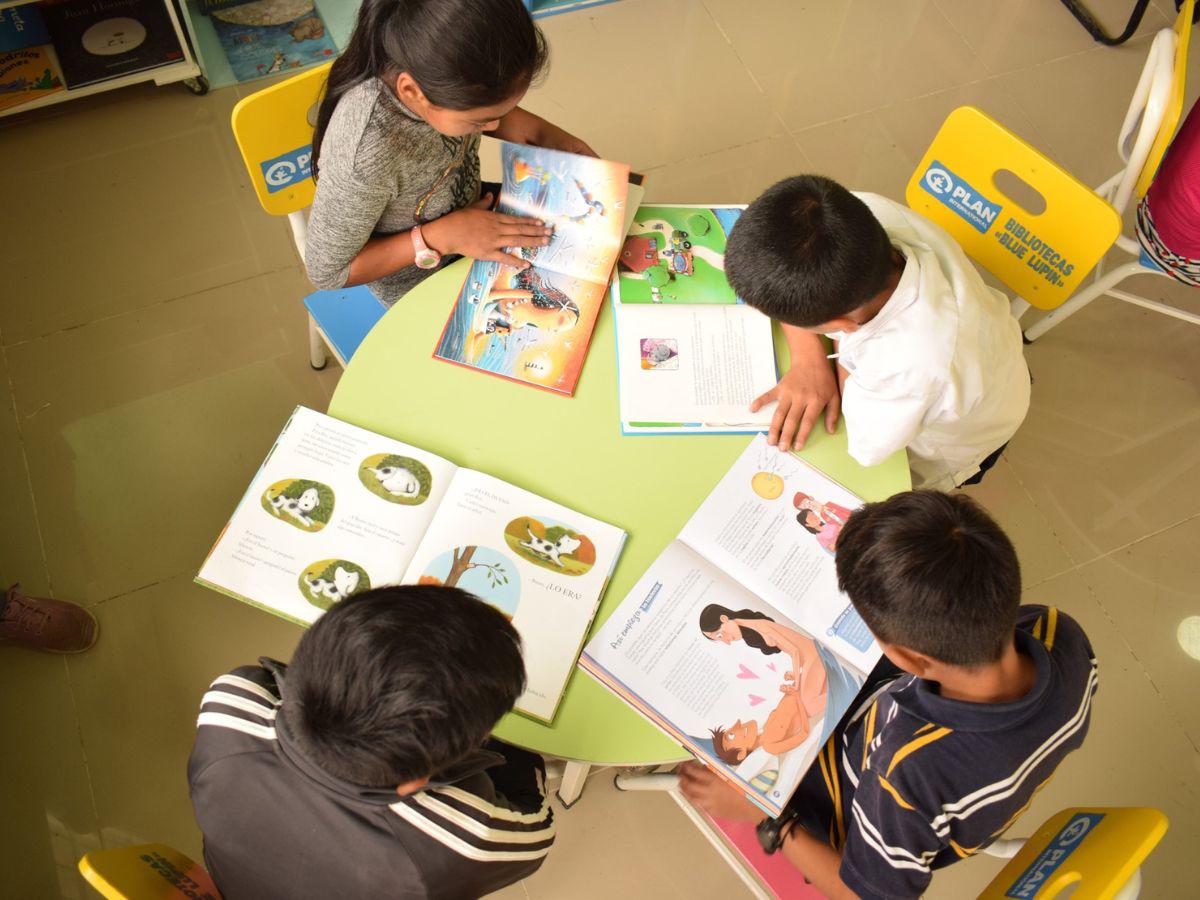 En Lempira funcionan treinta y cuatro bibliotecas escolares Blue Lupin, dos bibliotecas públicas, una biblioteca mixta (escolar y comunitaria) y cuatro minibluelupin.