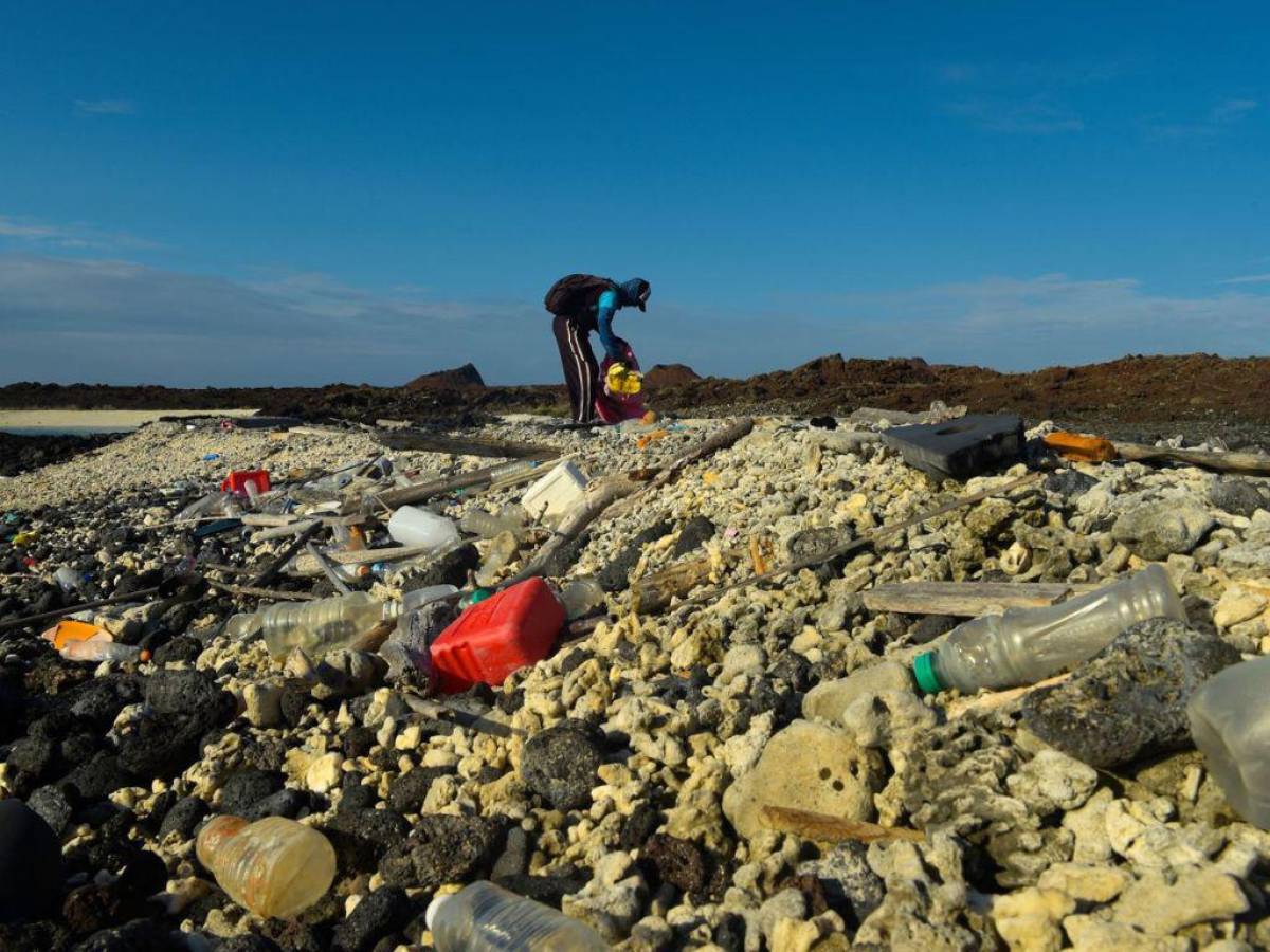 El 99% de los residuos recogidos en Galápagos proviene de Latinoamérica y Asia