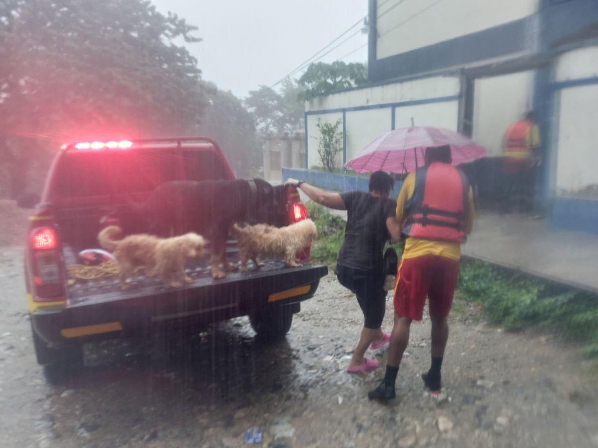 Evacuaciones, daños e inundaciones: los desastres de la tormenta Sara