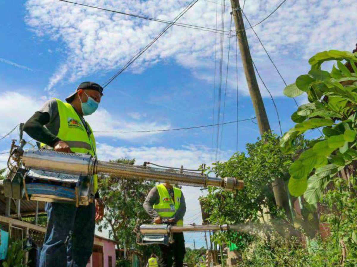 Salud reporta casi 10 mil casos de dengue en 2023