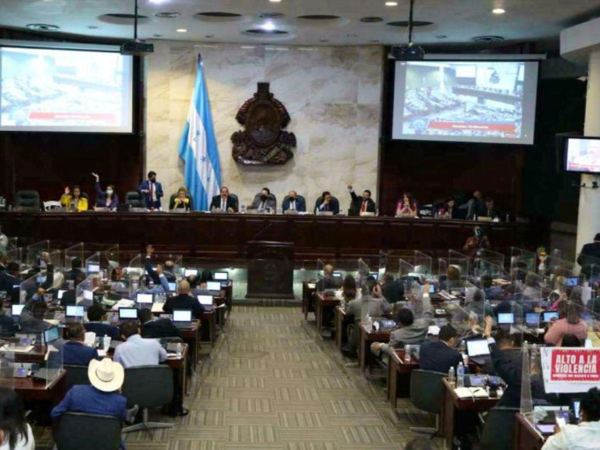 Oposición en el Congreso Nacional le cierra las puertas a préstamos entre el Ejecutivo y la CAF