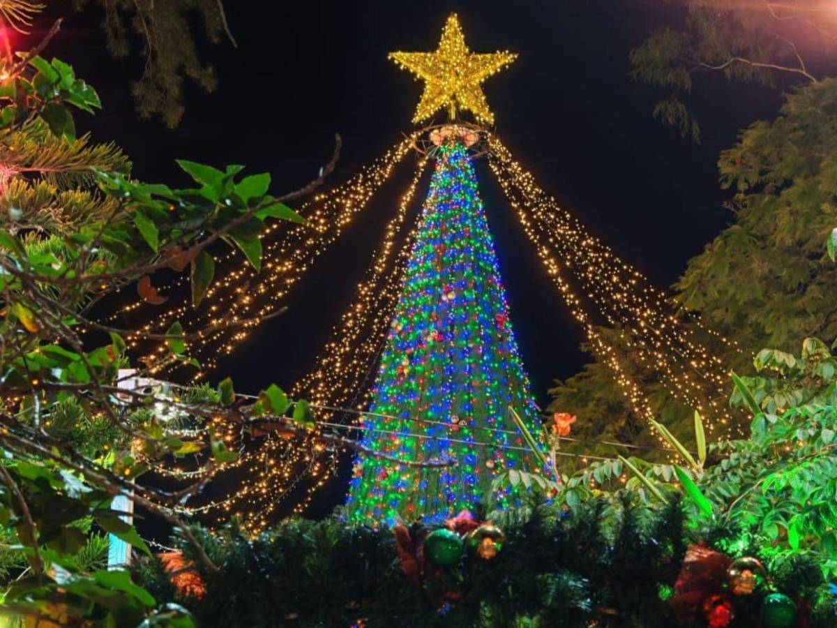 Así se vive el ambiente navideño en Sabanagrande, cuna de las rosquillas