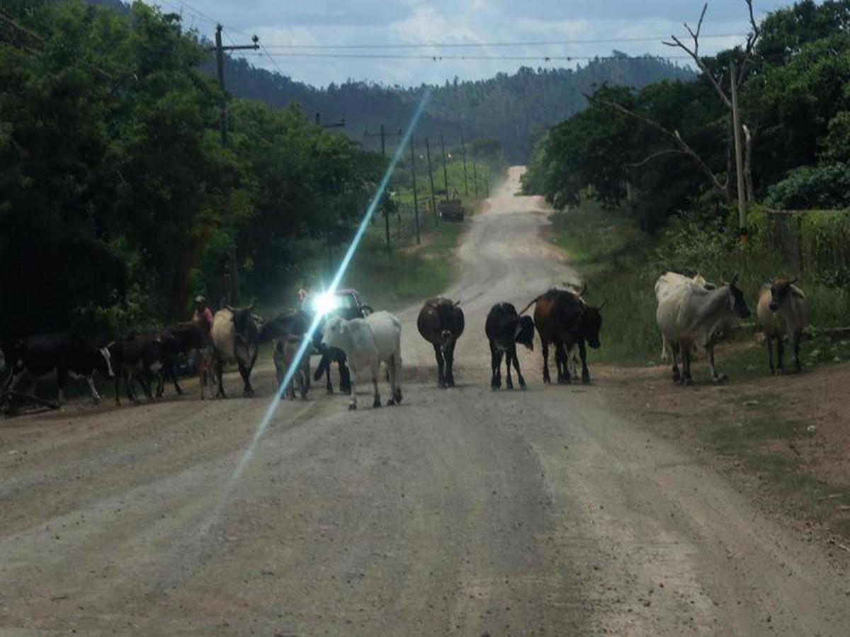 Gobierno promete retomar proyecto carretero en sector Limones, Olancho, ante amenaza de protestas