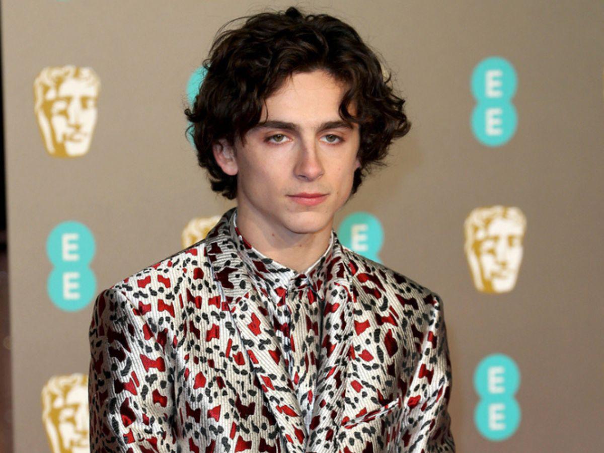 Timothée Chalamet protagonizó dos recientes éxitos de taquilla: Wonka y Dune: Part Two, comparándose con DiCaprio por su trayectoria temprana.