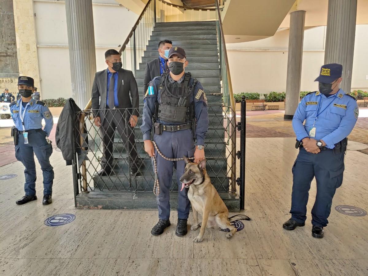 K-9 inspecciona el Congreso Nacional para garantizar seguridad de los diputados