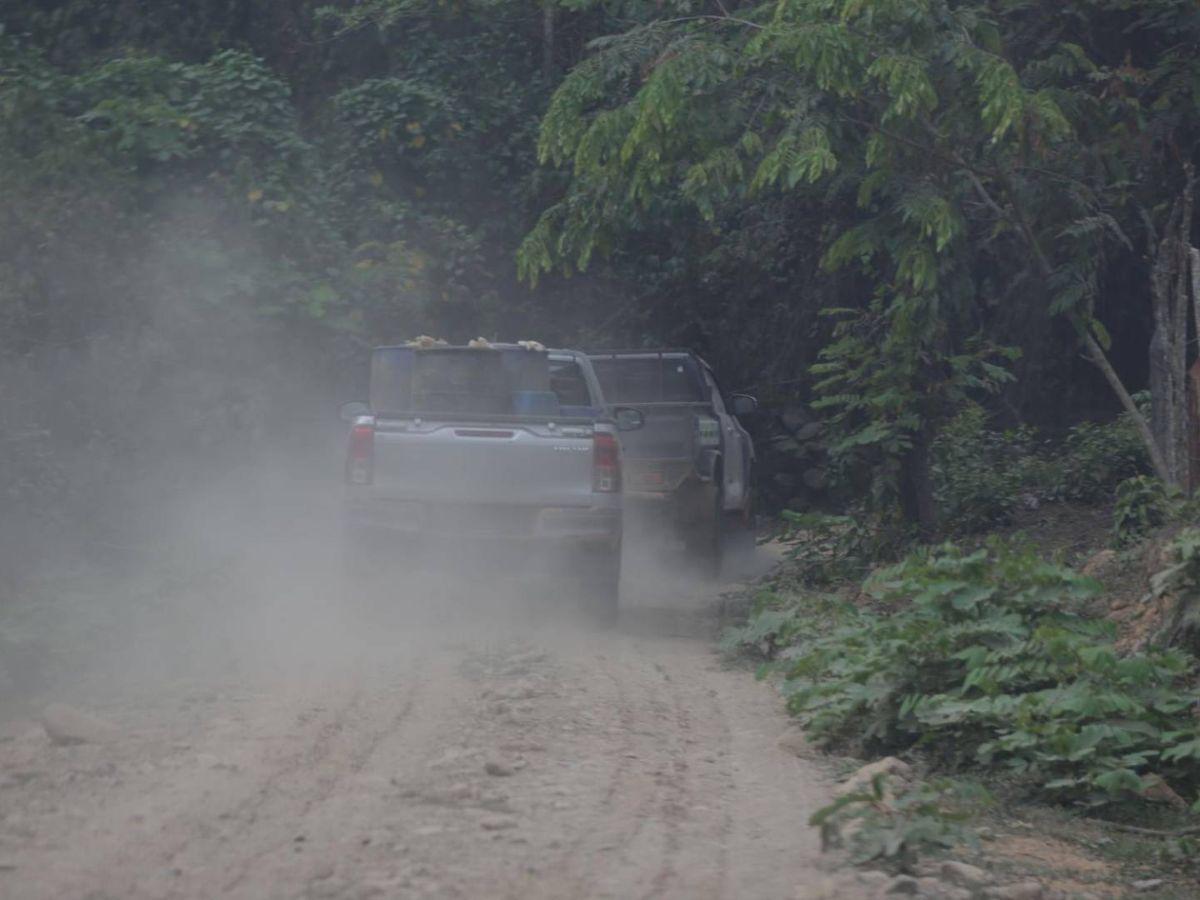 Ocupación de tierras, narcocarreteras y deforestación: conflicto en el río Plátano