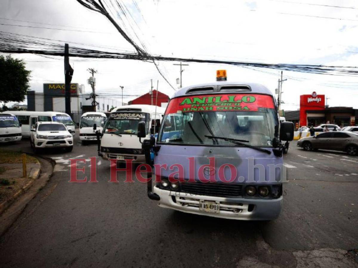 Transportistas aseguran que han dejado de percibir 300 millones de lempiras