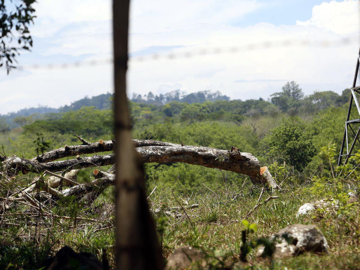 $!Los invasores en Santa Cruz de Yojoa están destruyendo bosques y zonas productoras.