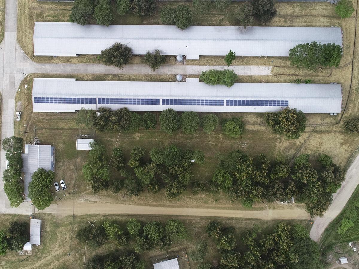 CMI cuida del medio ambiente y evita así emisiones de gases de efecto invernadero.