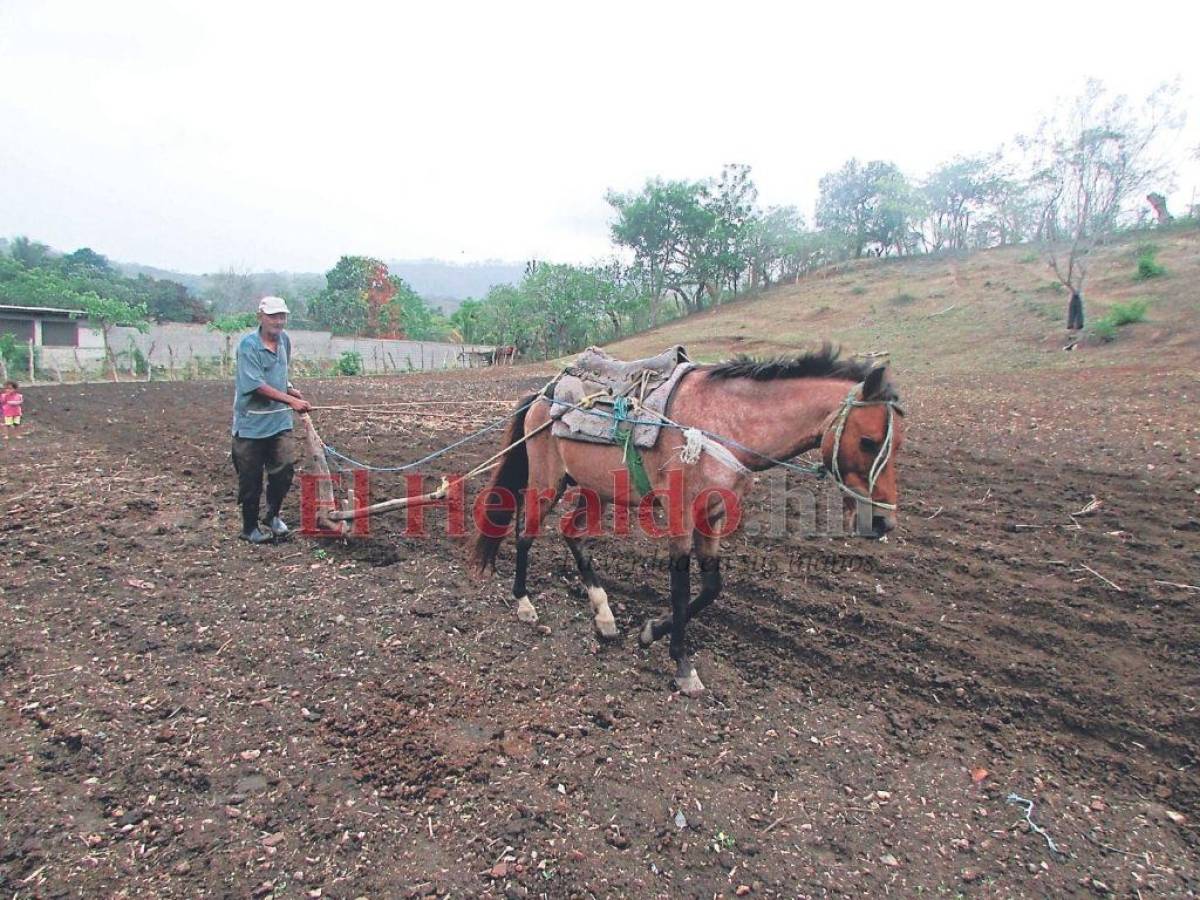 El Bono Tecnológico será otorgado a más de 200 mil productores agrícolas