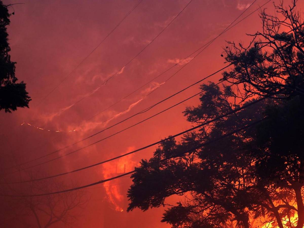 Incendio en Los Ángeles avanza sin control y amenaza a miles a su paso