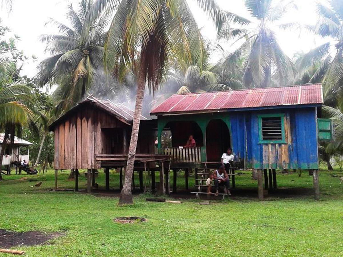 SAG pondrá en marcha Proyecto Agroalimentario en La Mosquitia