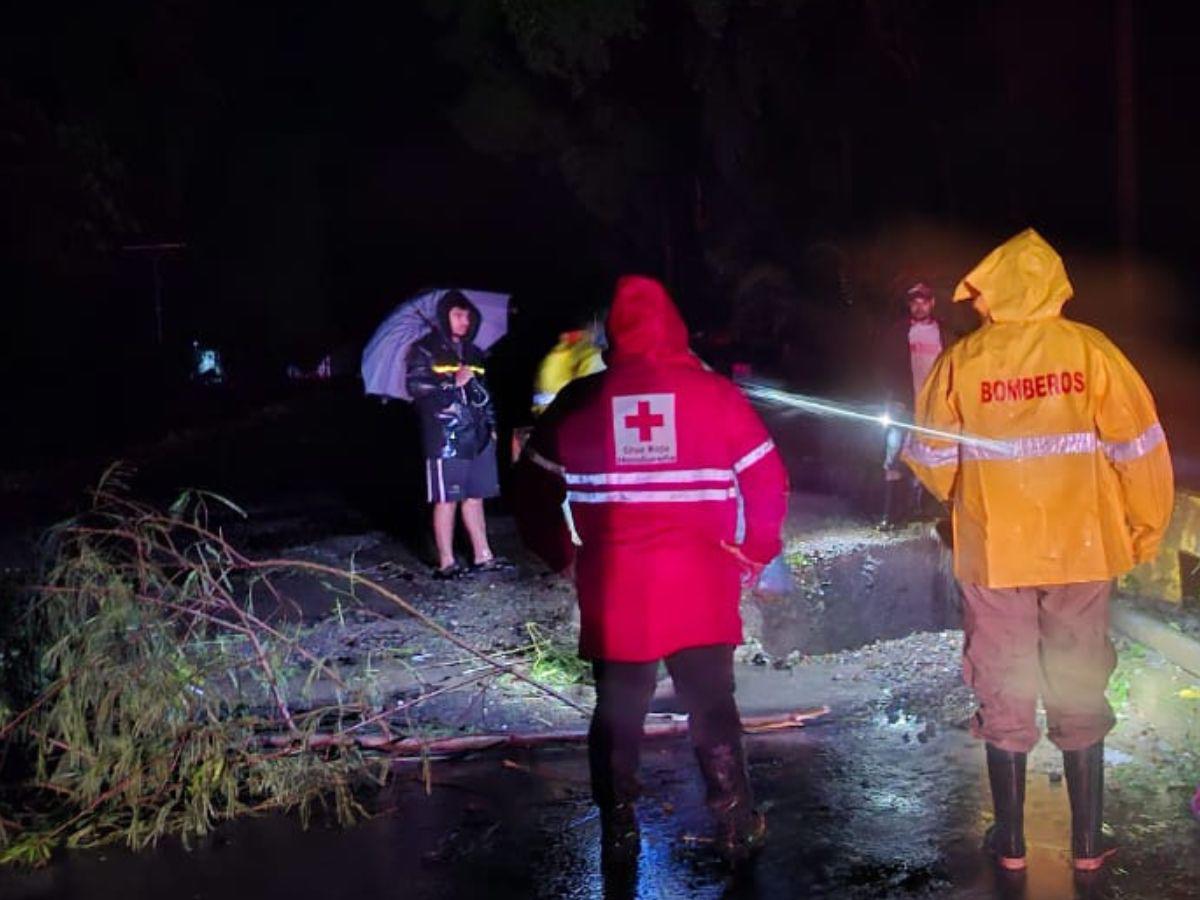 Los daños que ha dejado la tormenta Sara en la zona norte de Honduras