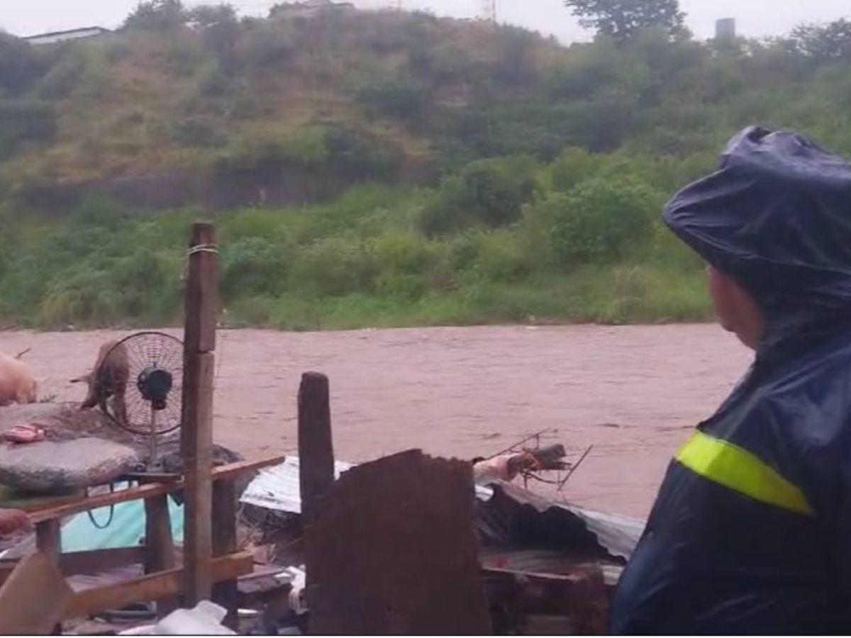 ¡Desastre! Así se encuentra el río Choluteca tras su desbordamiento en la capital