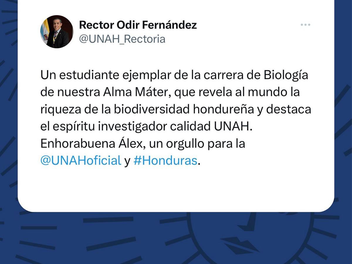 Estudiante de la UNAH descubre nueva especie de escorpión