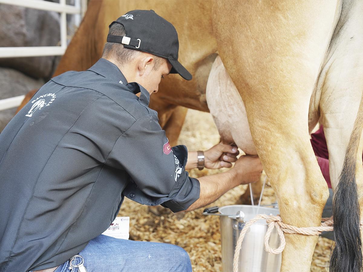 <i>La ciudad de Siguatepeque fue el epicentro del Primer Congreso de la Carne y Leche. </i>