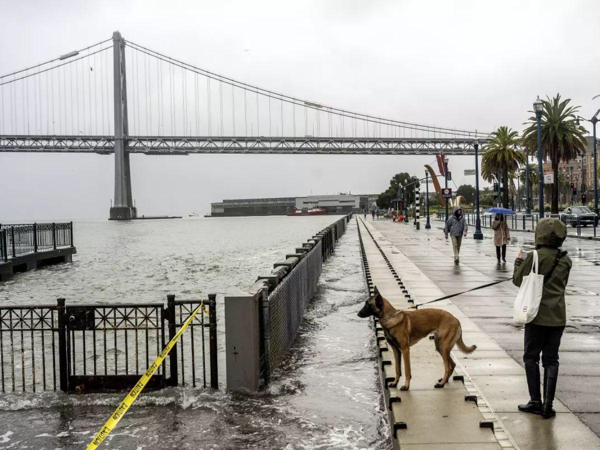 Tornado azota a California: carros volcados y árboles caídos dejan sorprendidos a los residentes