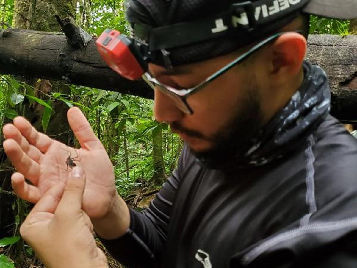 Estudiante de la UNAH descubre nueva especie de escorpión